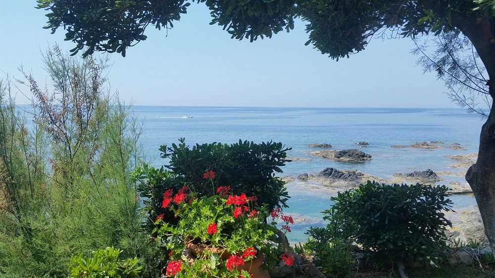 20150611_133621_resized