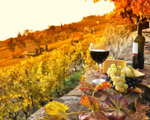Tour culinario del corazón de Italia, vinos y gastronomia de Toscana y Umbria